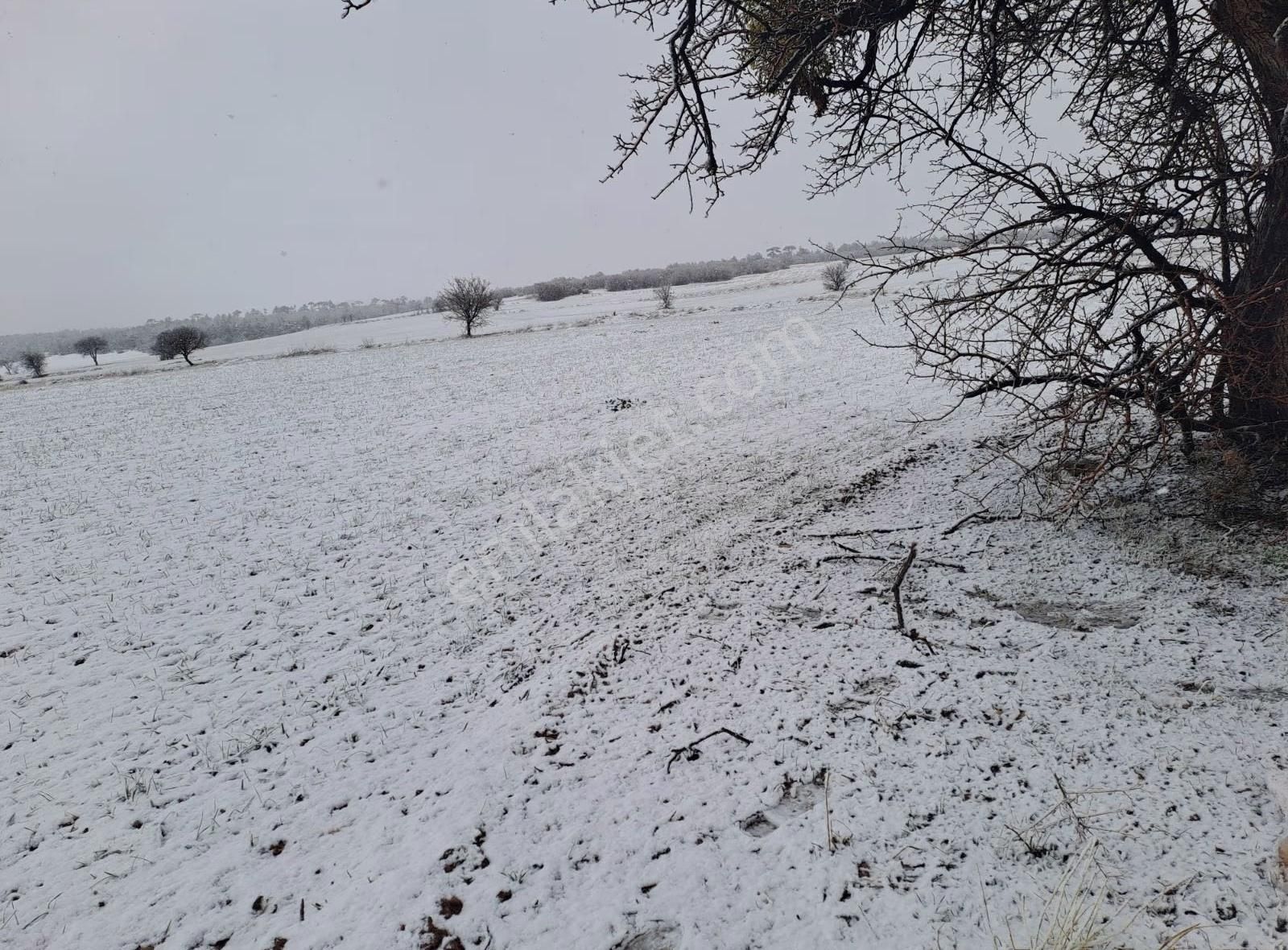 Konya Beyşehir Karabayat Konya Beyşehir Yola Sıfır Ticari Tarlam - Görsel 8