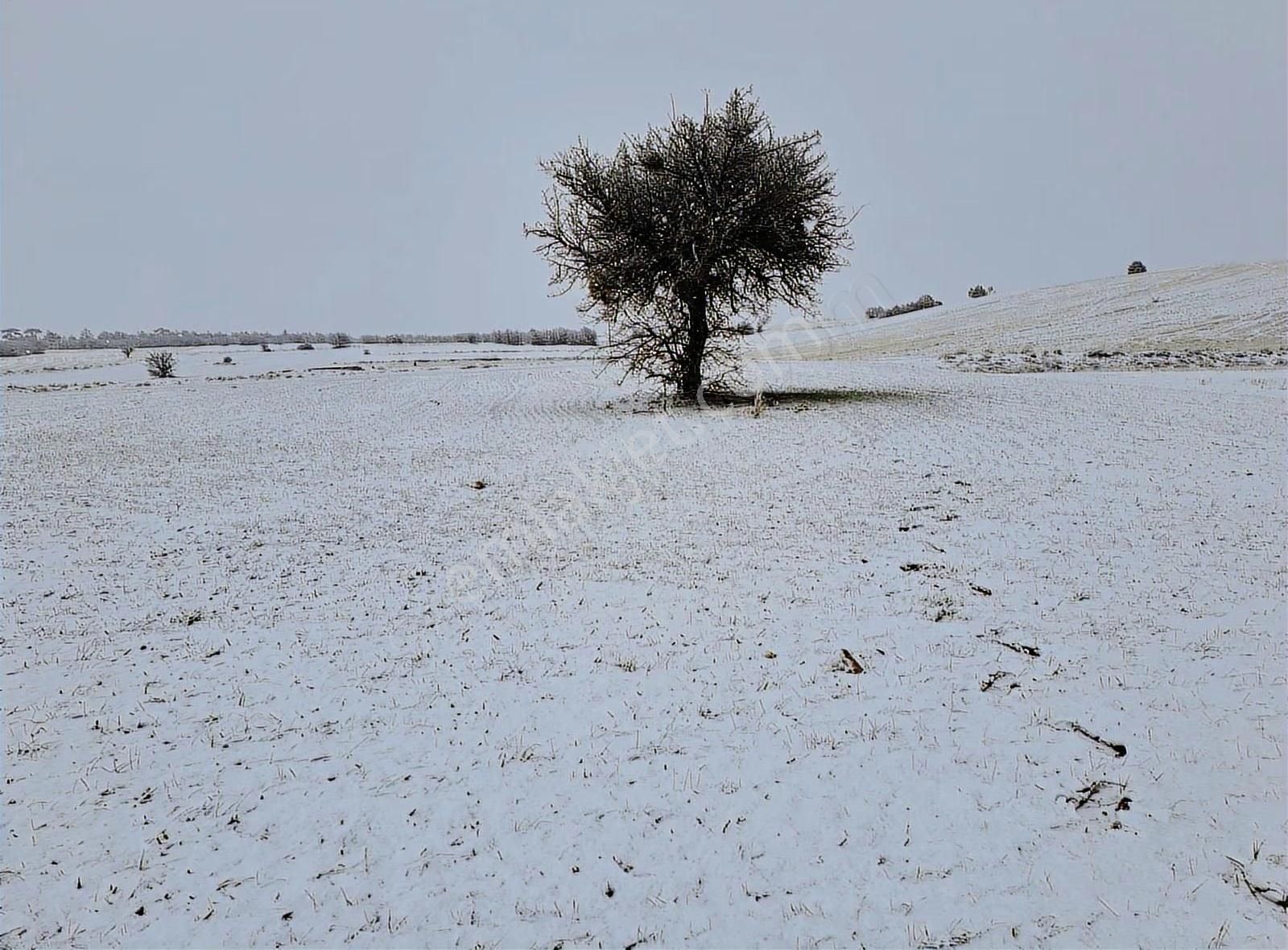 Konya Beyşehir Karabayat Konya Beyşehir Yola Sıfır Ticari Tarlam - Görsel 19