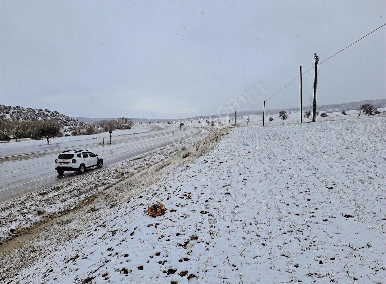 Konya Beyşehir Karabayat Konya Beyşehir Yola Sıfır Ticari Tarlam - Görsel 16