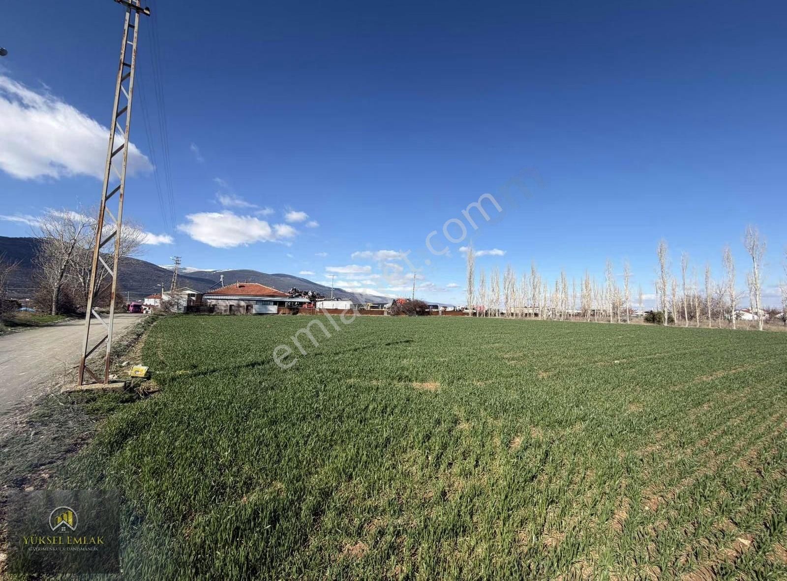 Yüksel Emlaktan Satılık Yatırımlık Bağ Ankara-ısparta Yolu Üzeri - Görsel 15