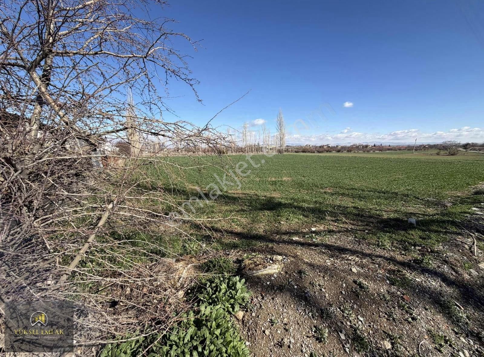 Yüksel Emlaktan Satılık Yatırımlık Bağ Ankara-ısparta Yolu Üzeri - Görsel 26
