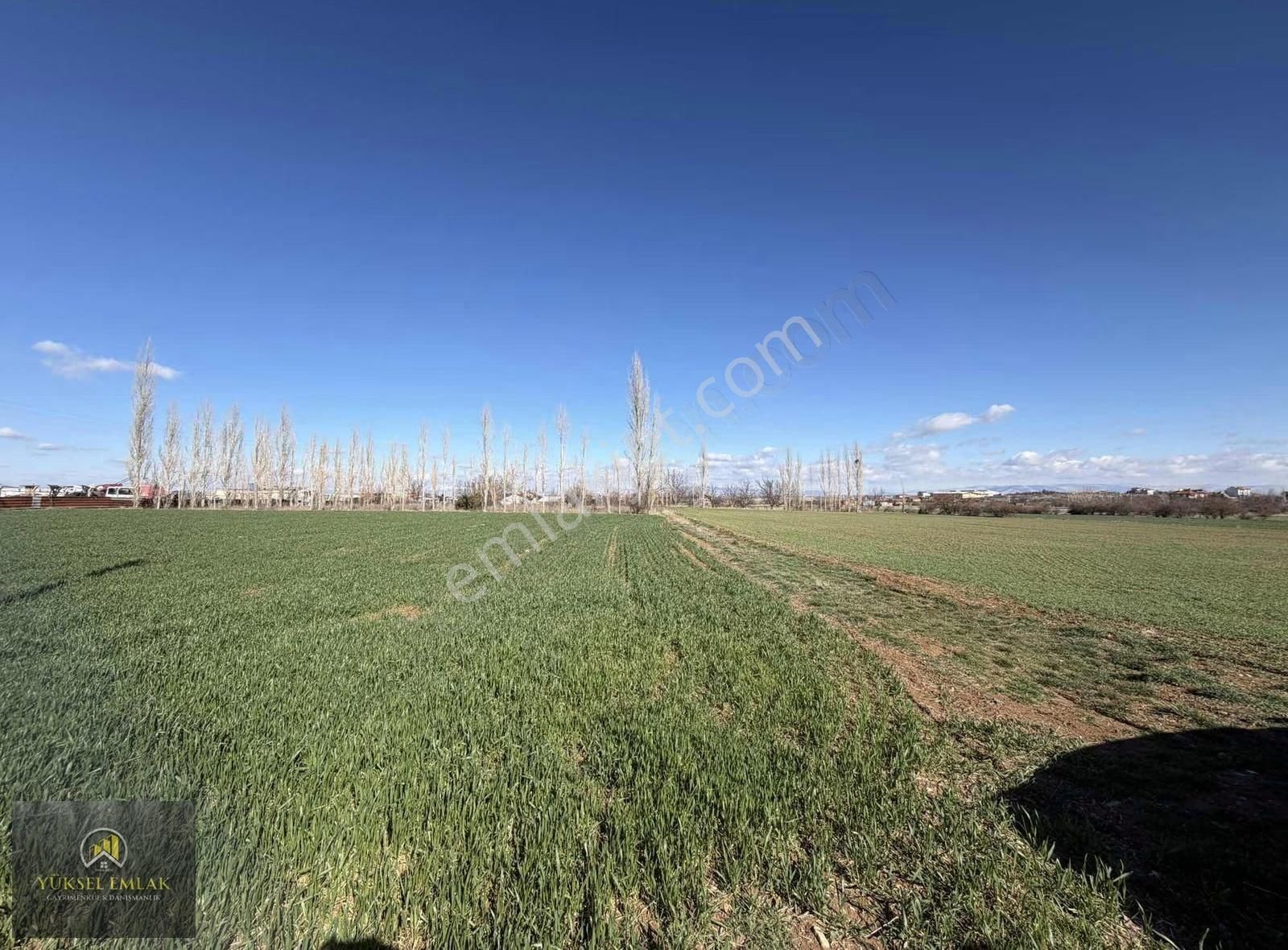 Yüksel Emlaktan Satılık Yatırımlık Bağ Ankara-ısparta Yolu Üzeri - Görsel 19