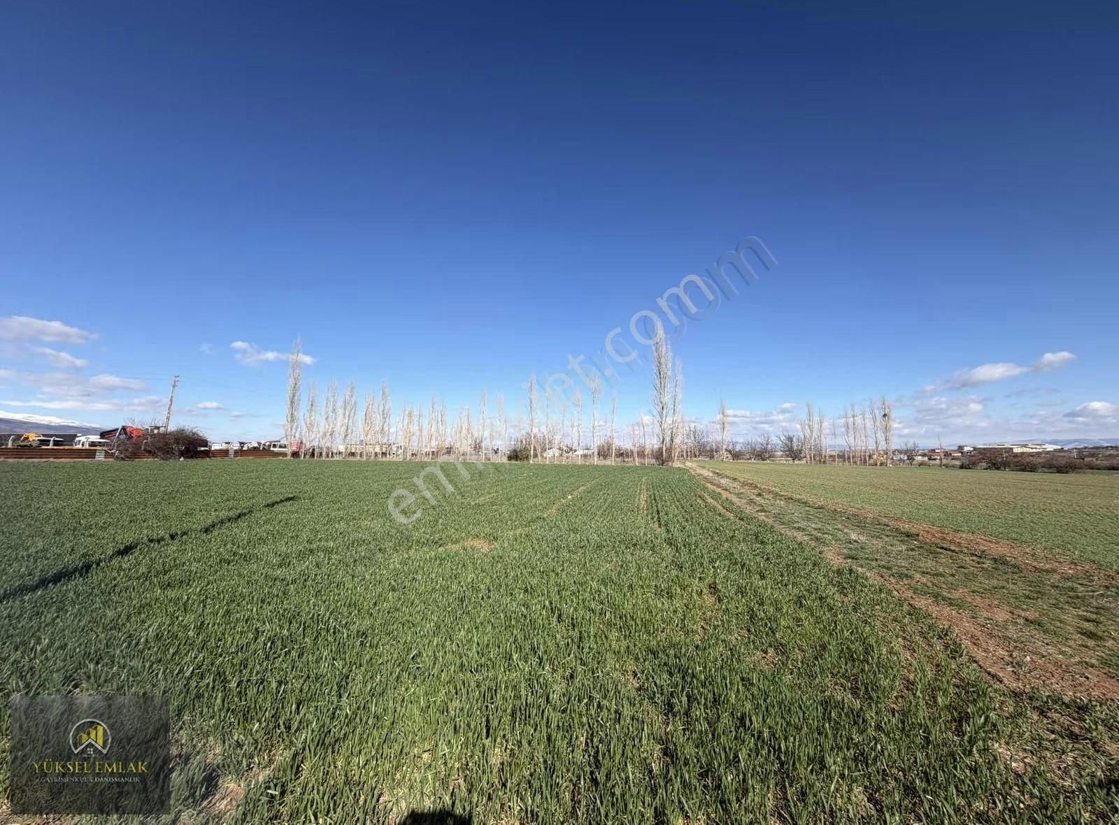 Yüksel Emlaktan Satılık Yatırımlık Bağ Ankara-ısparta Yolu Üzeri - Görsel 11