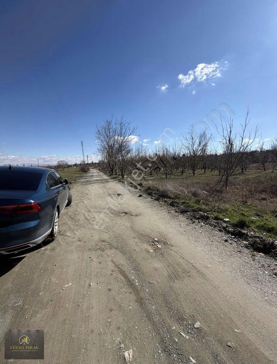Yüksel Emlaktan Satılık Yatırımlık Bağ Ankara-ısparta Yolu Üzeri - Görsel 21