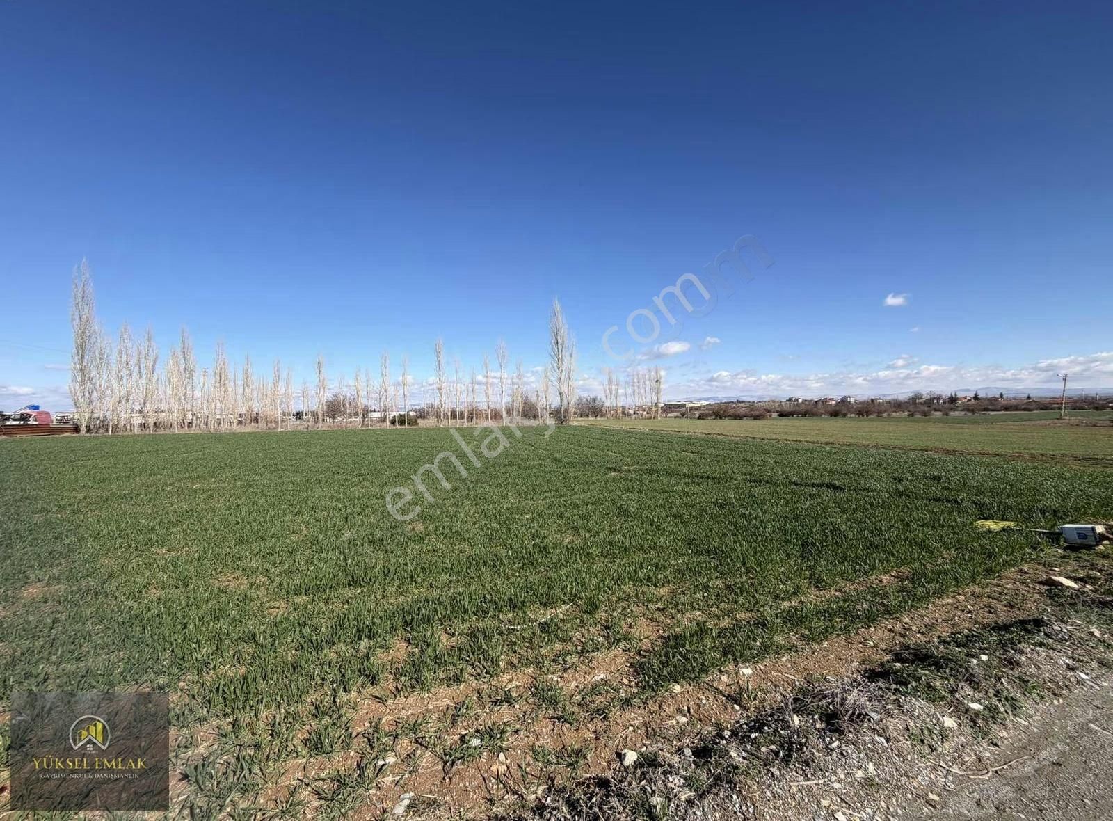 Yüksel Emlaktan Satılık Yatırımlık Bağ Ankara-ısparta Yolu Üzeri - Görsel 27
