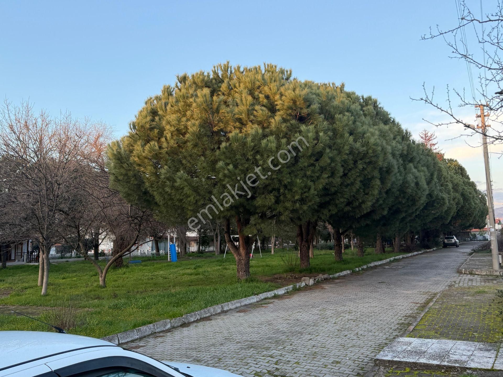 Denize 250' Metre İkiz Nizam (210 M2) 3+1 Bahçeli Dubleks Villa - Görsel 6