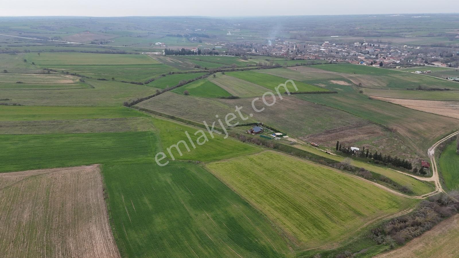 Kırklareli Merkez Değirmencik Köyü Satılık Tarla - Görsel 3
