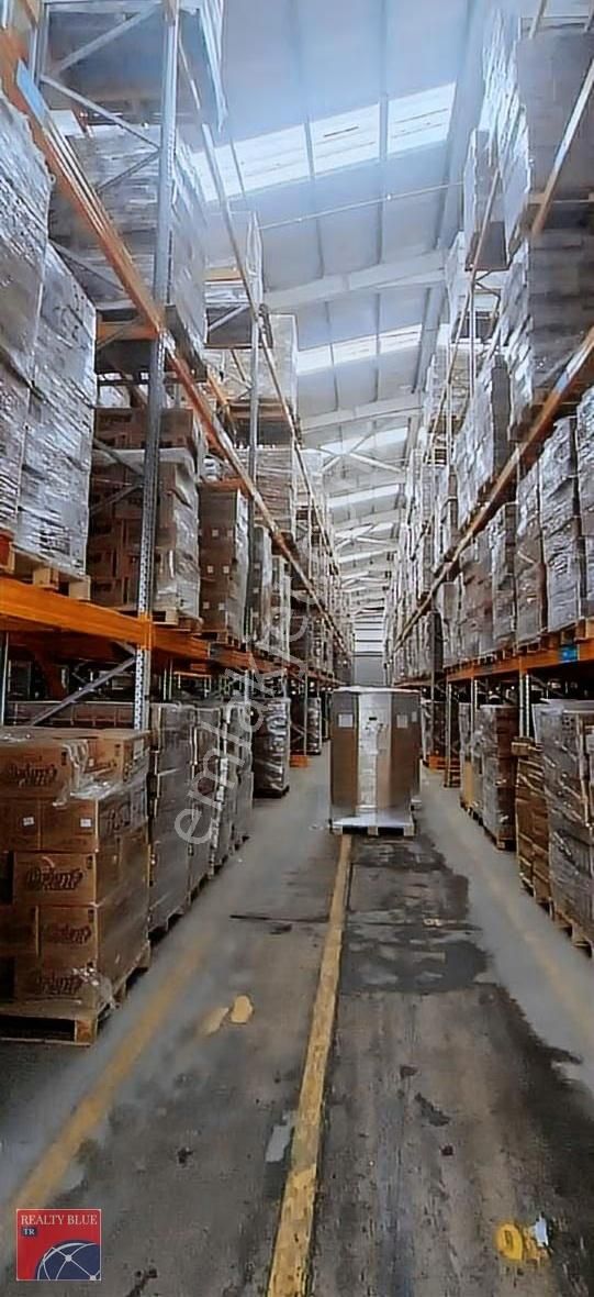 Abdullah Tuğrul Dan 10000 M² Depo.5 . Ranpa - Görsel 2