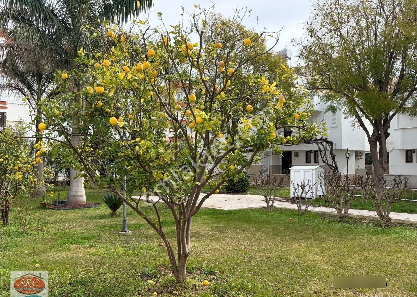 Mersin Anamur Trt Sitesi Satılık Dubleks Daire - Görsel 11