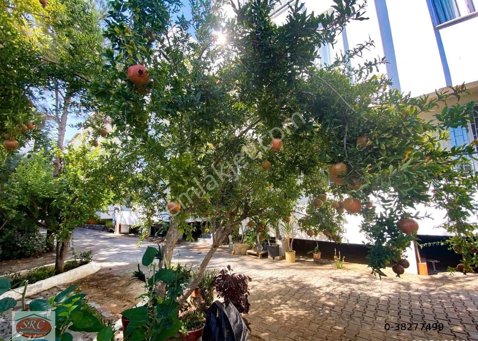 Mersin Anamur Sahilde Satılık Tripleks Daire - Görsel 23