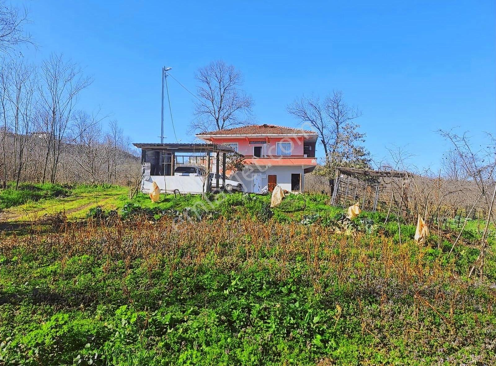 Sevgi Emlaktan Satılık Çiflik Evi Ve Arazi - Görsel 19