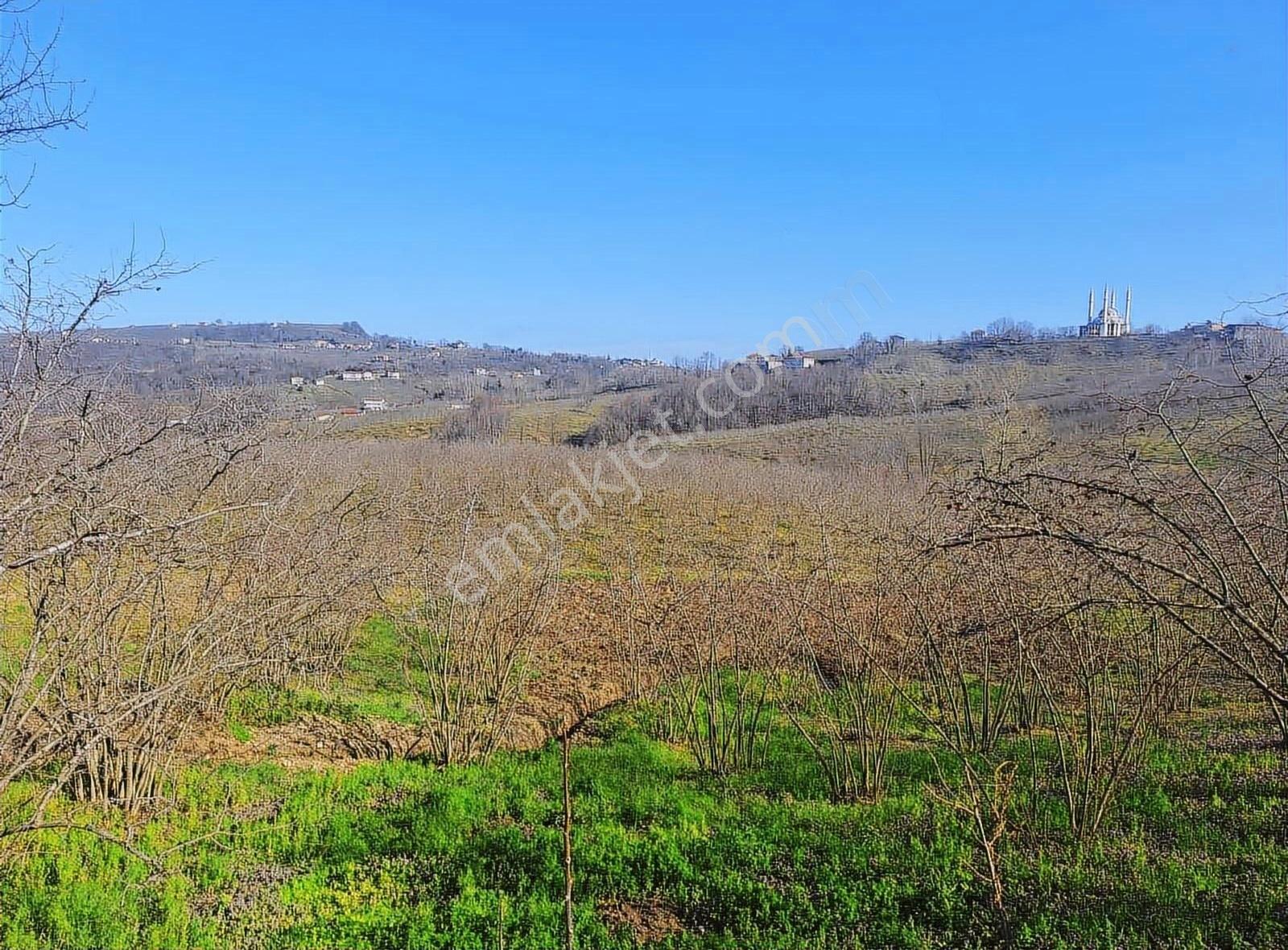 Sevgi Emlaktan Satılık Çiflik Evi Ve Arazi - Görsel 12