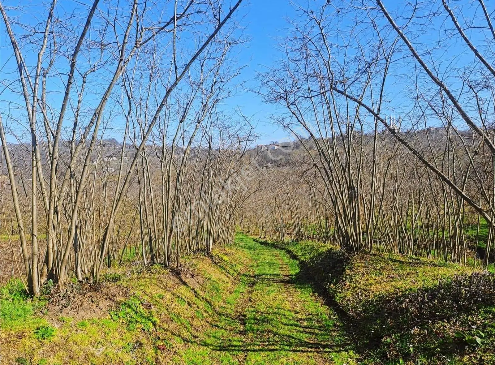 Sevgi Emlaktan Satılık Çiflik Evi Ve Arazi - Görsel 3