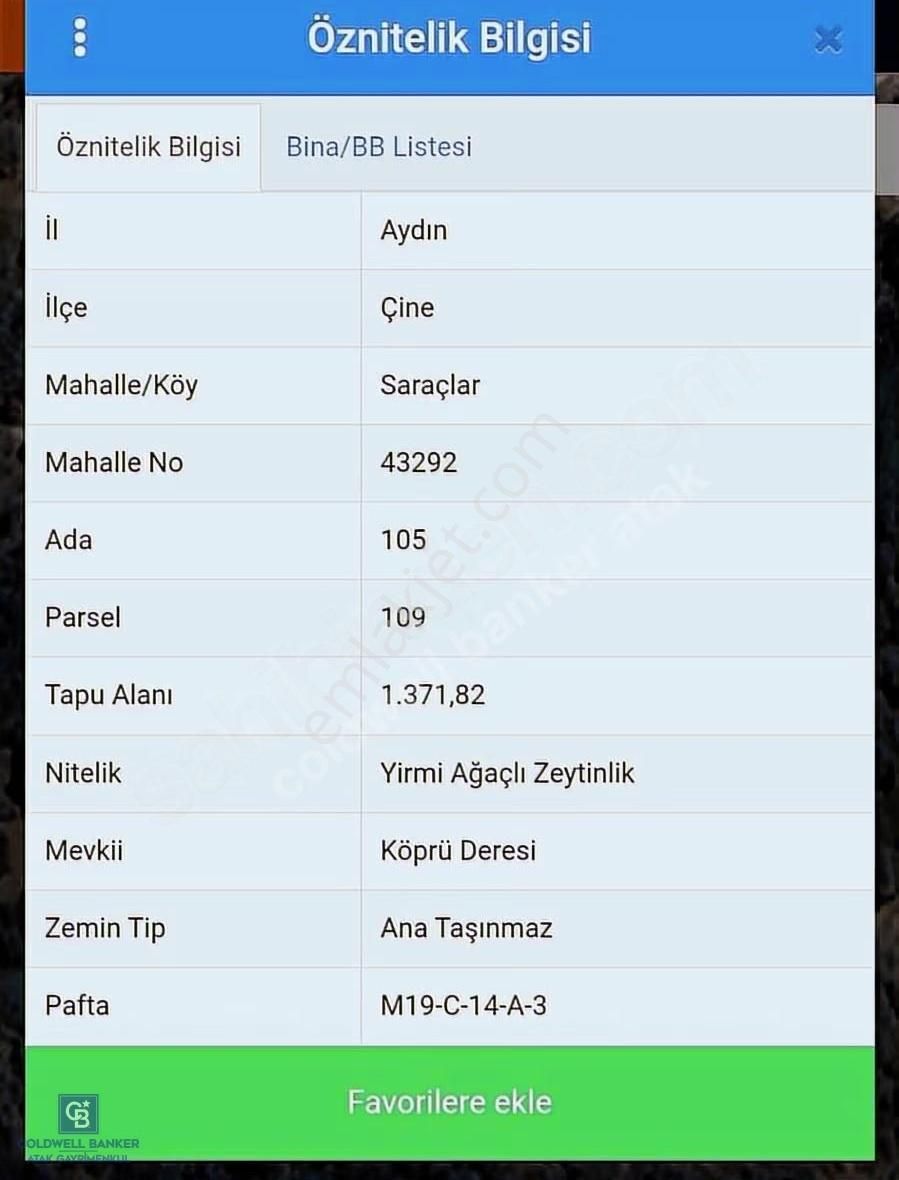Aydın Çine'de 45 Ağaçlı Zeytinlik - Görsel 2