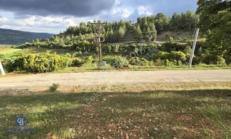 Denizli Tavas'ta 2400 M2 Arsa - Görsel 5