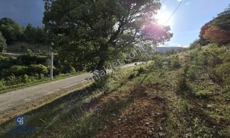 Denizli Tavas'ta 2400 M2 Arsa - Görsel 6