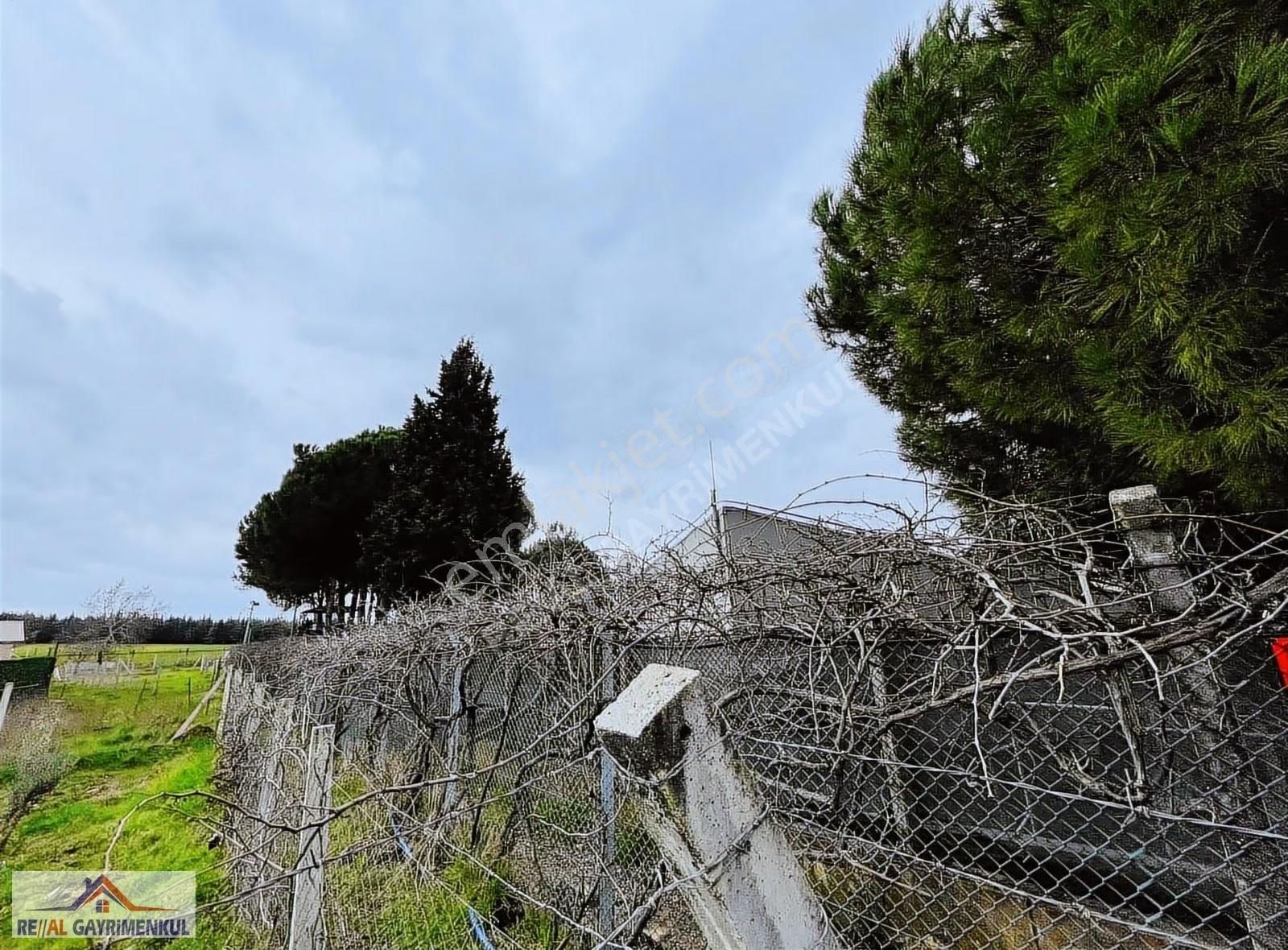 Real'den Menderes Oğlananası 253 M2 Satılık Tapulu Bahçe - Görsel 5