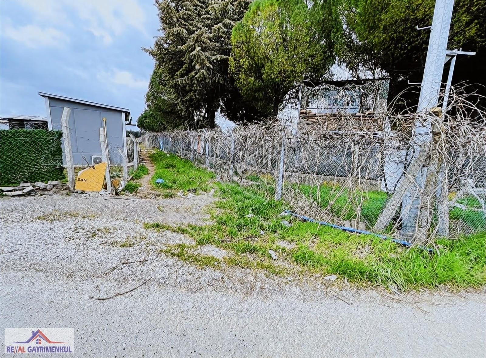 Real'den Menderes Oğlananası 253 M2 Satılık Tapulu Bahçe - Görsel 18