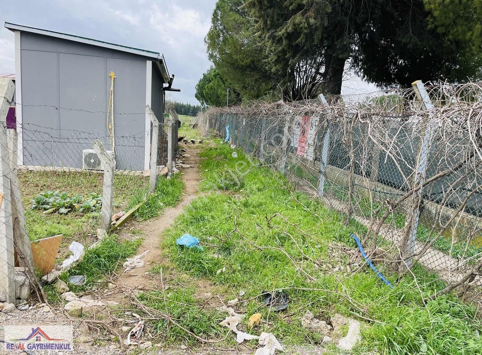 Real'den Menderes Oğlananası 253 M2 Satılık Tapulu Bahçe - Görsel 16