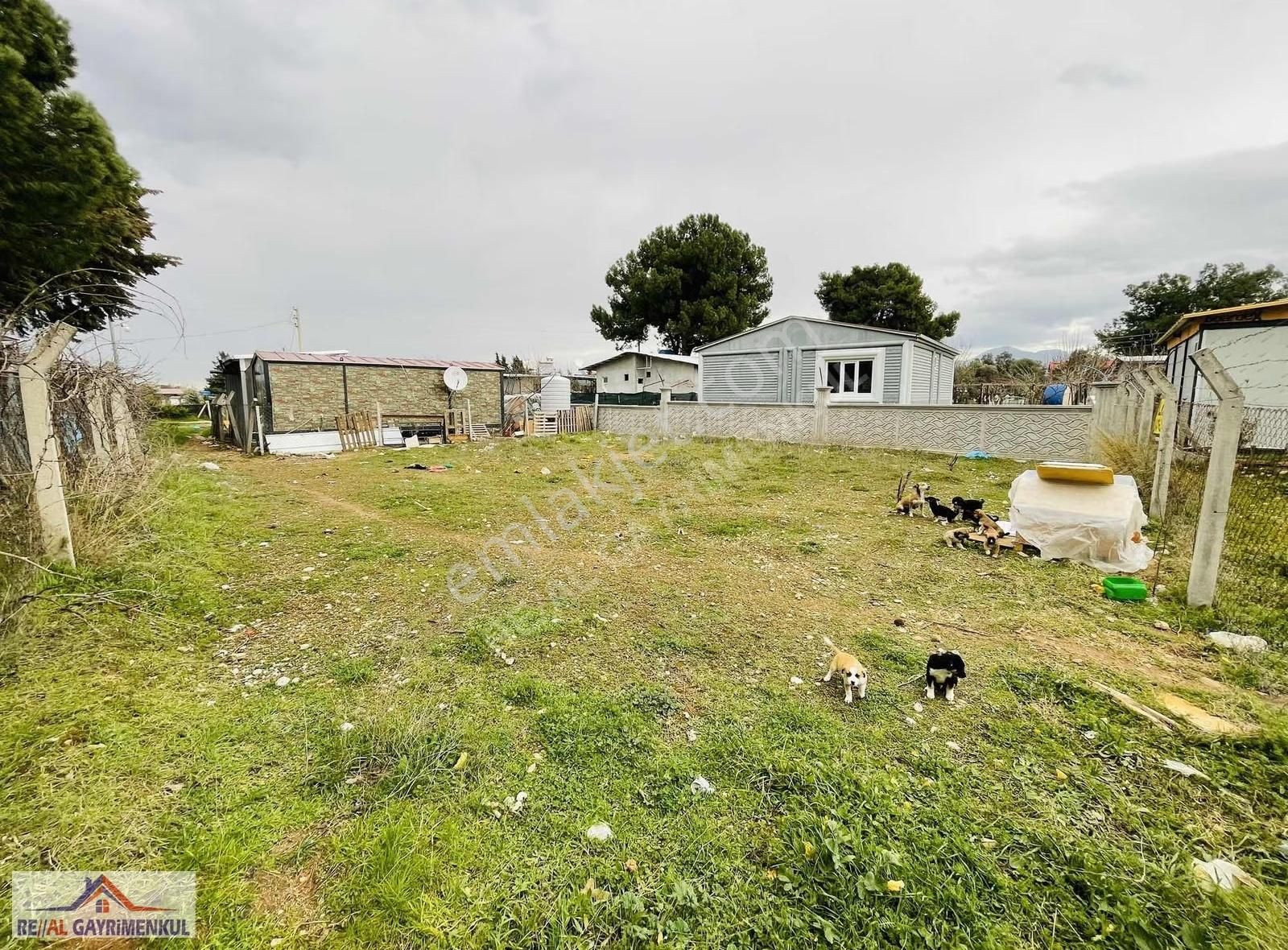 Real'den Menderes Oğlananası 253 M2 Satılık Tapulu Bahçe