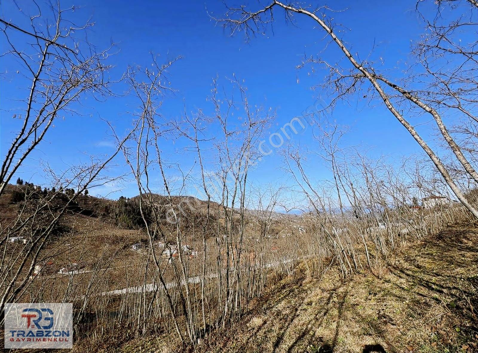Mağmat'ta Satılık 2950m² Deniz & Doğa Manzaralı Arsa - Görsel 7