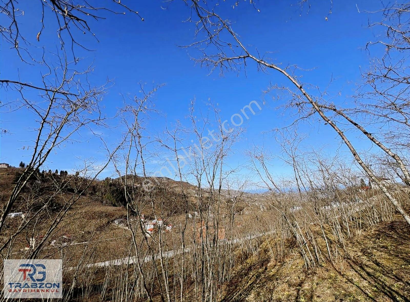 Mağmat'ta Satılık 2950m² Deniz & Doğa Manzaralı Arsa - Görsel 9