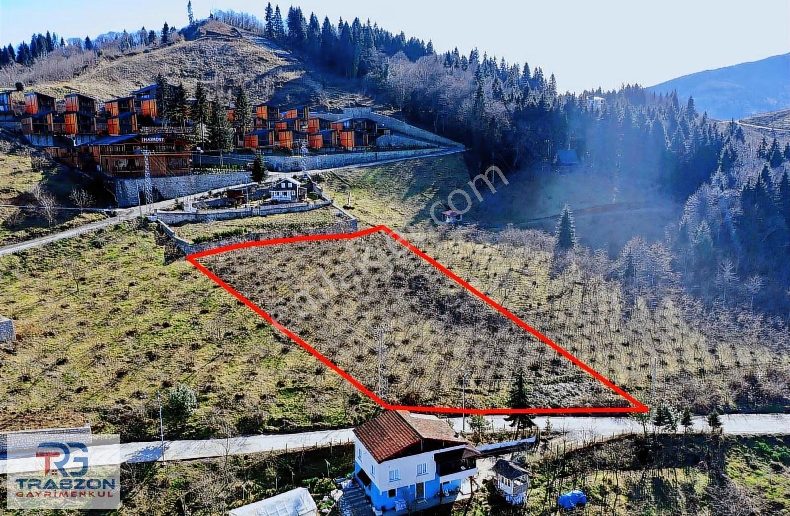 Mağmat'ta Satılık 2950m² Deniz & Doğa Manzaralı Arsa - Görsel 20