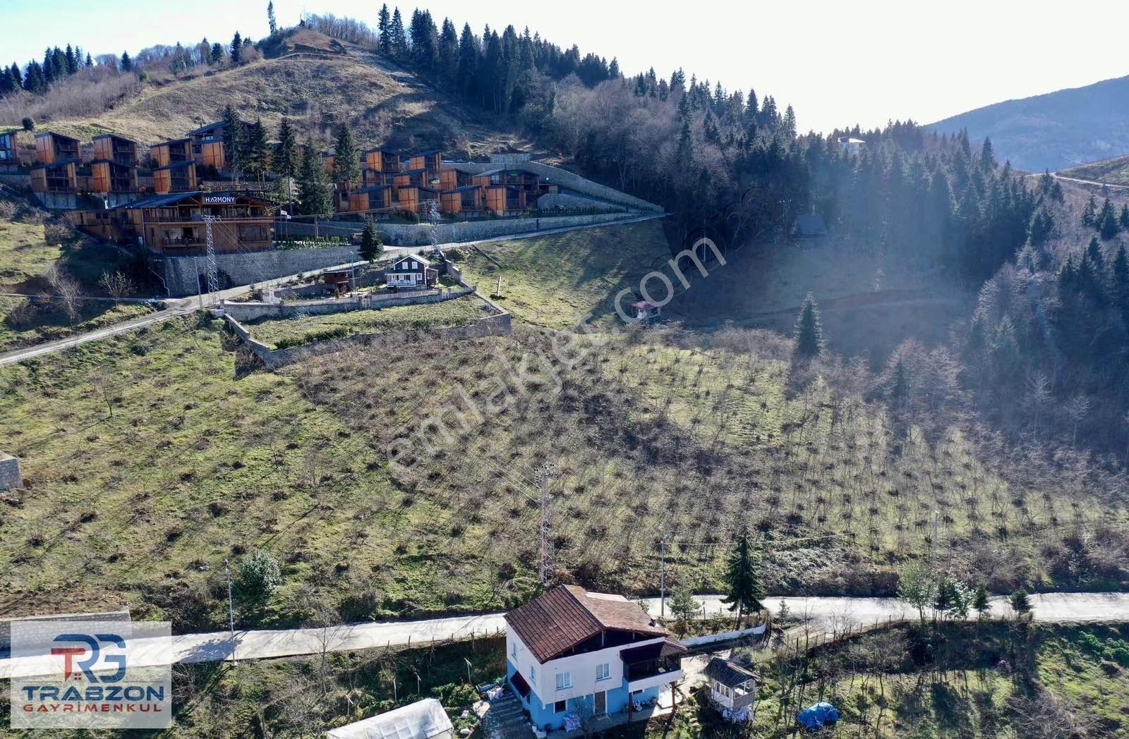 Mağmat'ta Satılık 2950m² Deniz & Doğa Manzaralı Arsa - Görsel 12