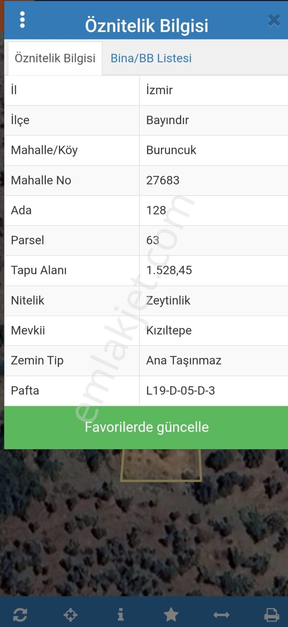 Bayındır Buruncuk Köyünde Tek Tapu Zeytinlik