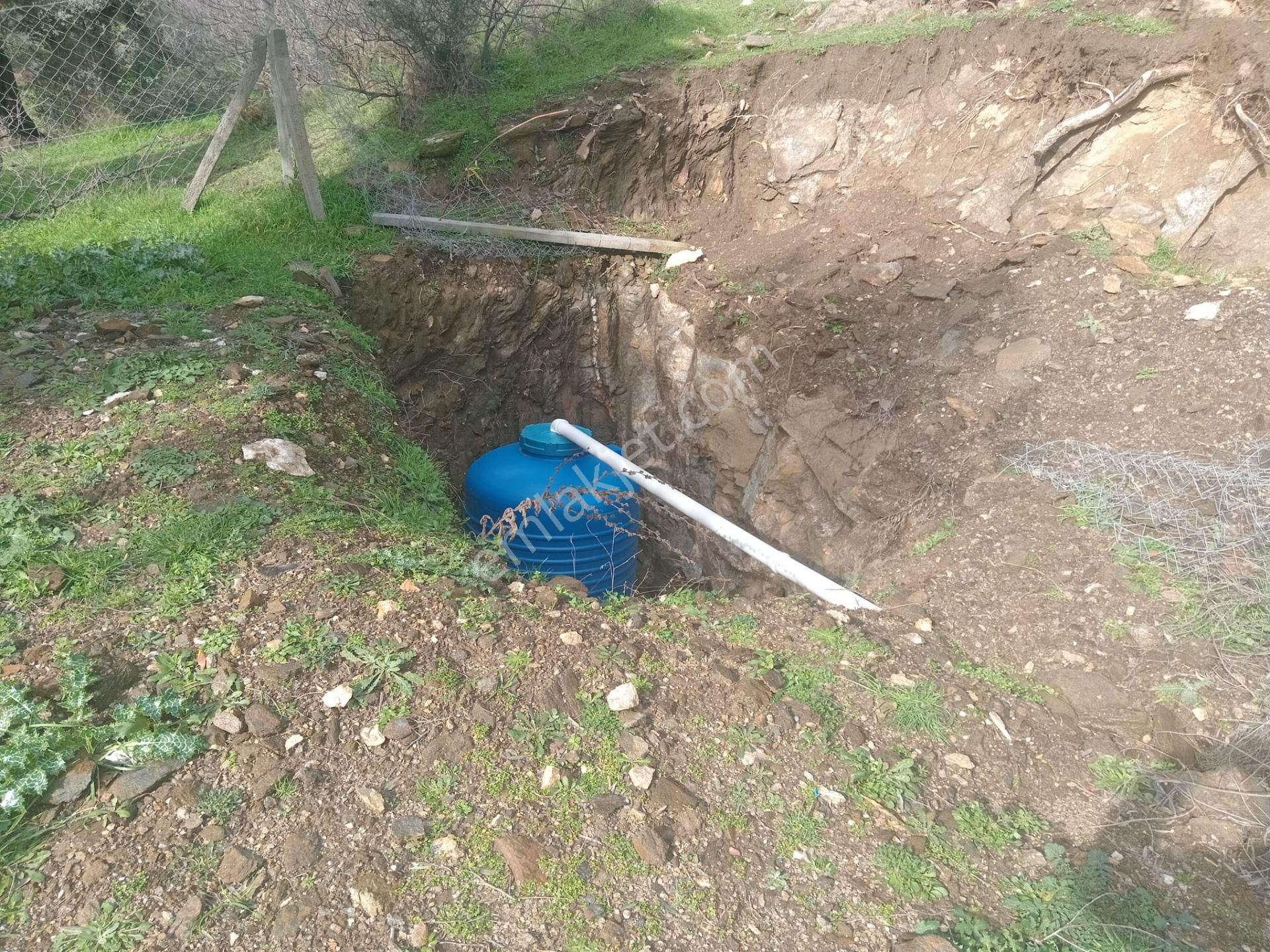 Bayındır Buruncuk Köyünde Tek Tapu Zeytinlik - Görsel 12