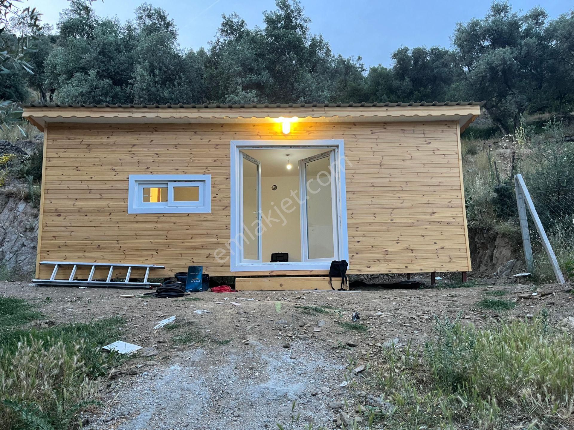 Bayındır Buruncuk Köyünde Tek Tapu Zeytinlik - Görsel 5