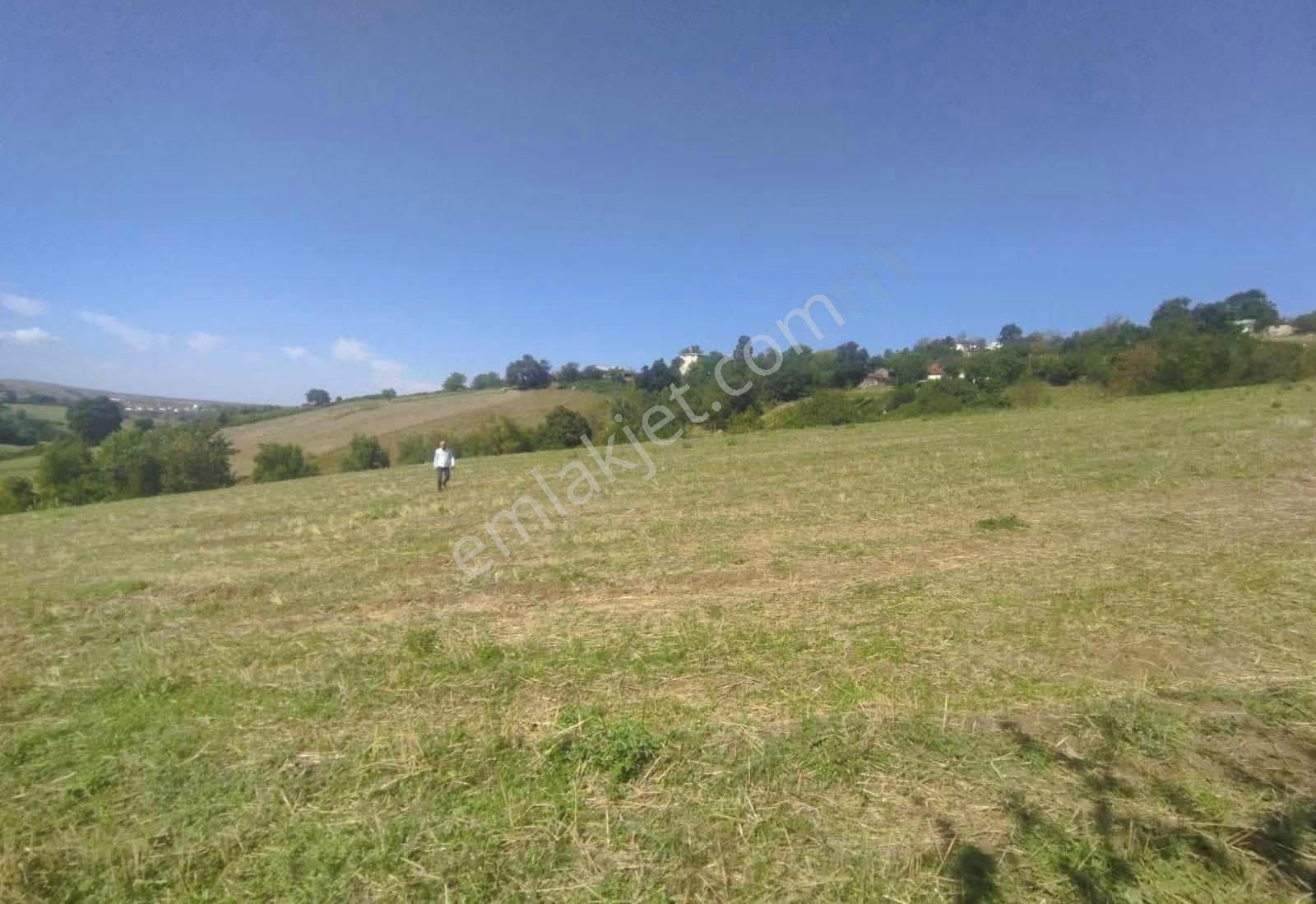 Samsun 19 Mayıs Karacaoğlun'da 8 Donum Satılık Fırsat Tarla