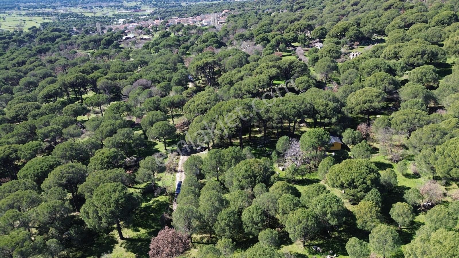 Bergama Kozak Hacıhamzalar Mah'de Satılık 542m2 Bağ - Görsel 26