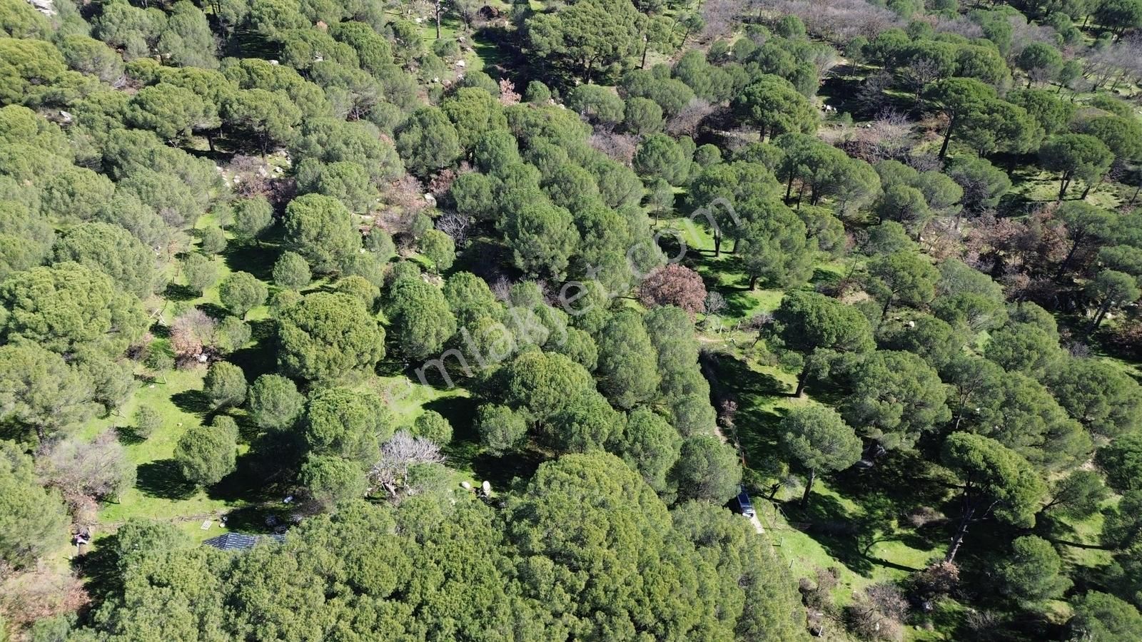 Bergama Kozak Hacıhamzalar Mah'de Satılık 542m2 Bağ - Görsel 35