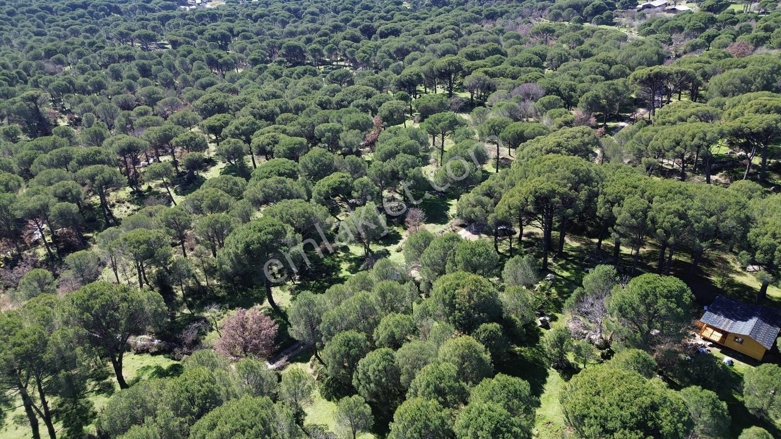 Bergama Kozak Hacıhamzalar Mah'de Satılık 542m2 Bağ - Görsel 15