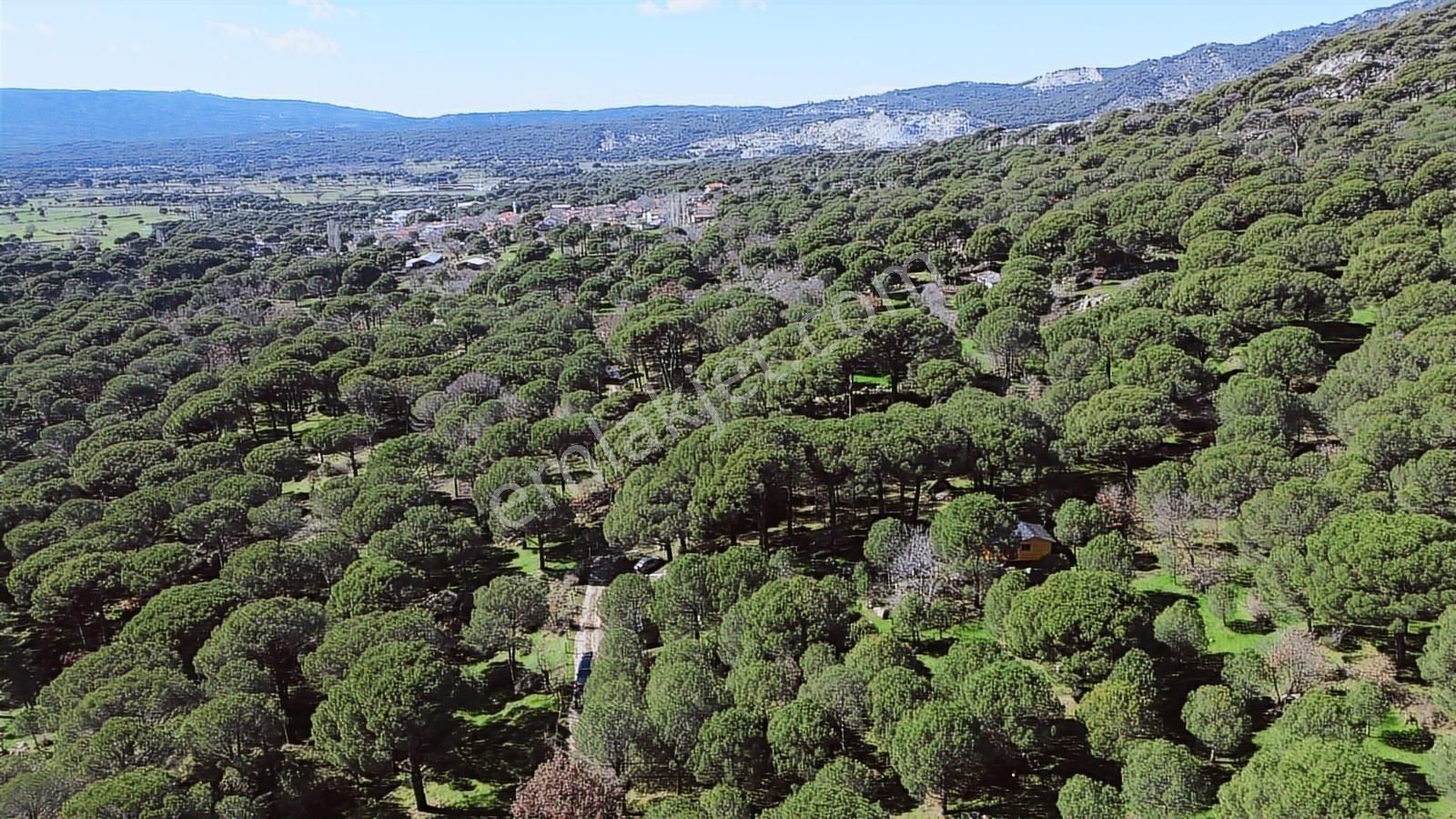 Bergama Kozak Hacıhamzalar Mah'de Satılık 542m2 Bağ - Görsel 16