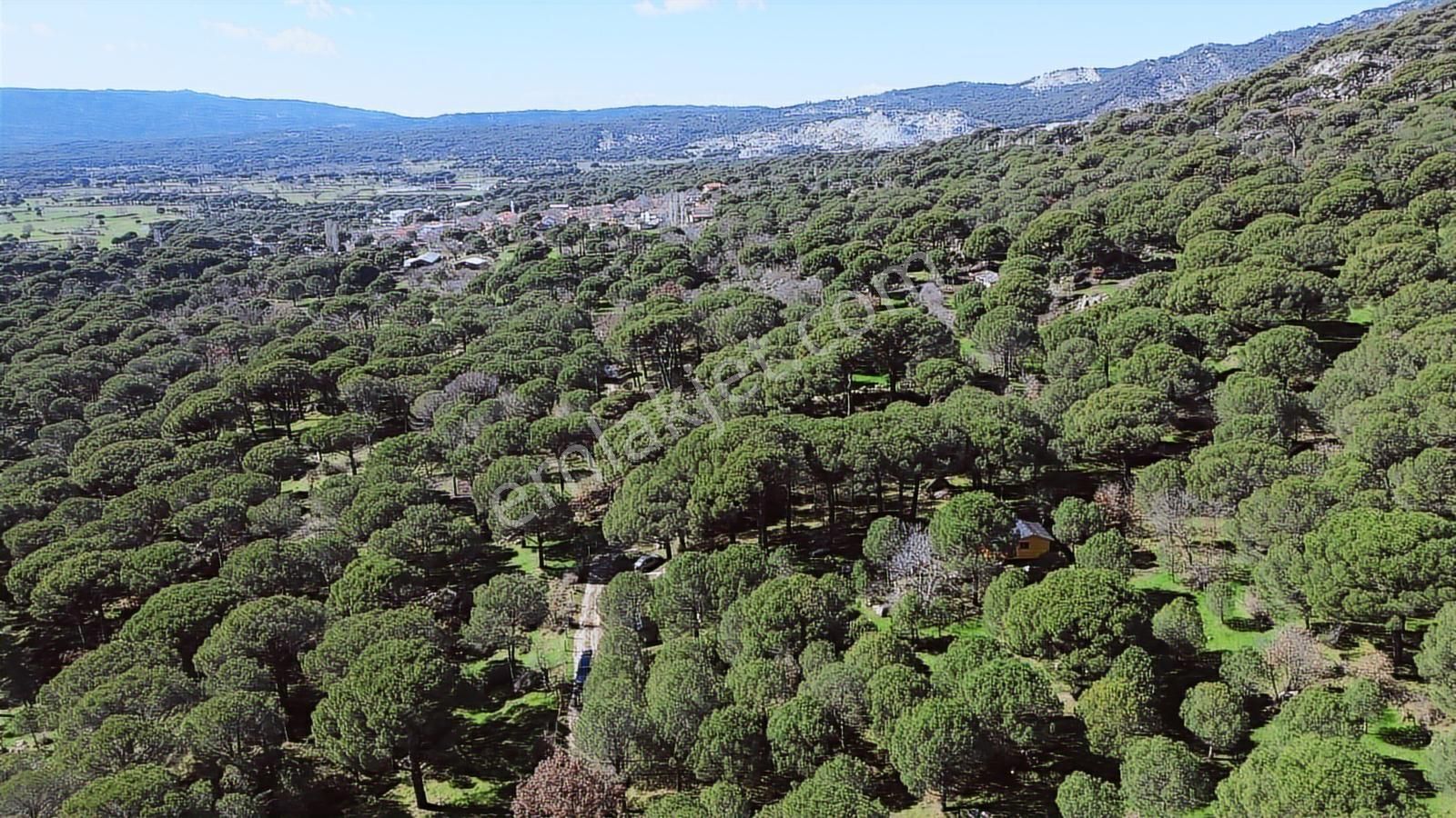 Bergama Kozak Hacıhamzalar Mah'de Satılık 542m2 Bağ - Görsel 17