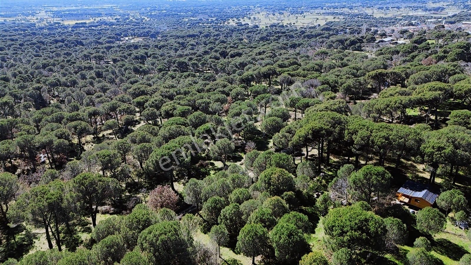 Bergama Kozak Hacıhamzalar Mah'de Satılık 542m2 Bağ - Görsel 31