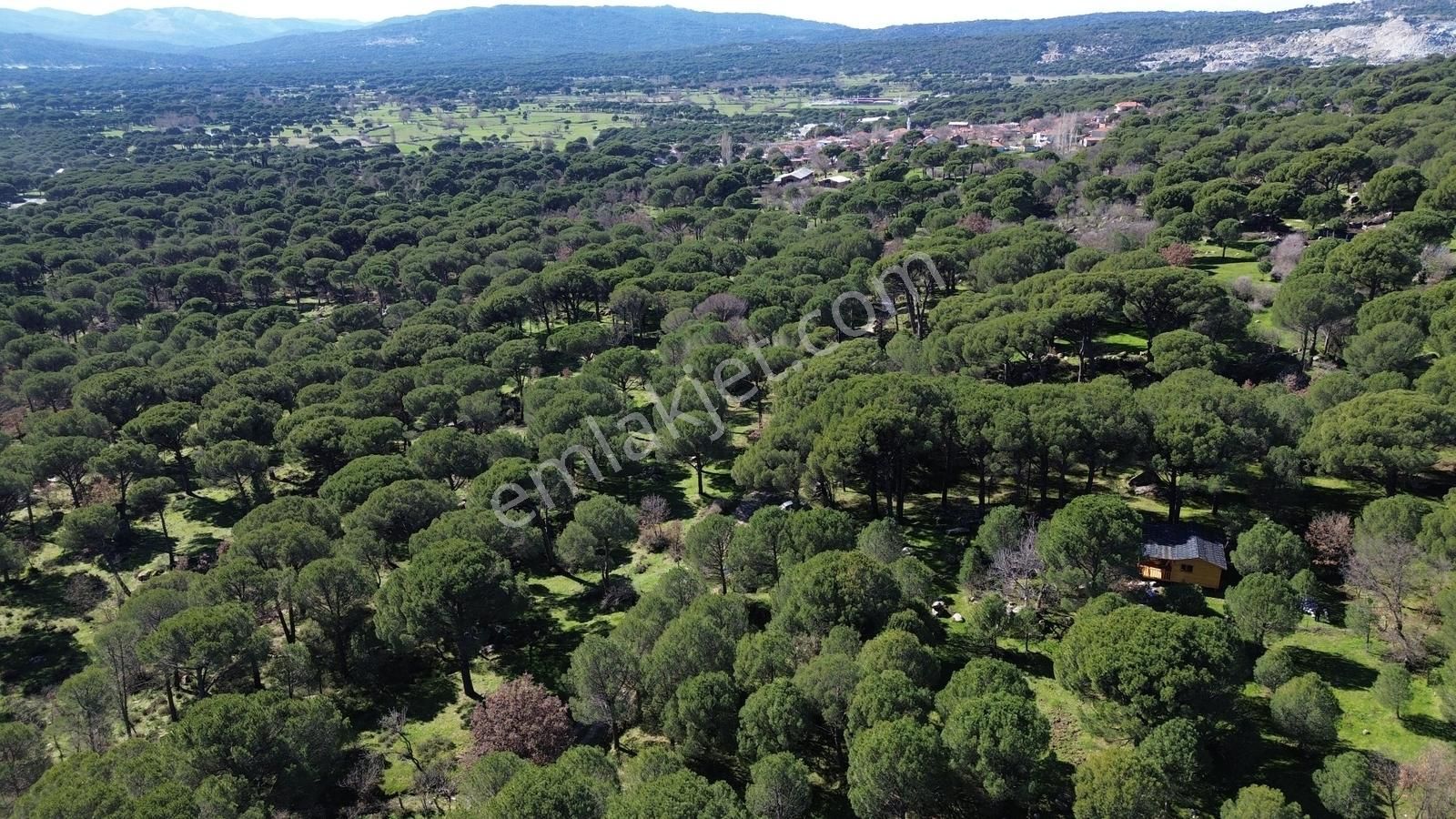 Bergama Kozak Hacıhamzalar Mah'de Satılık 542m2 Bağ - Görsel 19
