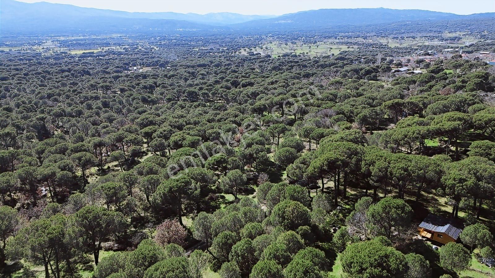 Bergama Kozak Hacıhamzalar Mah'de Satılık 542m2 Bağ - Görsel 21