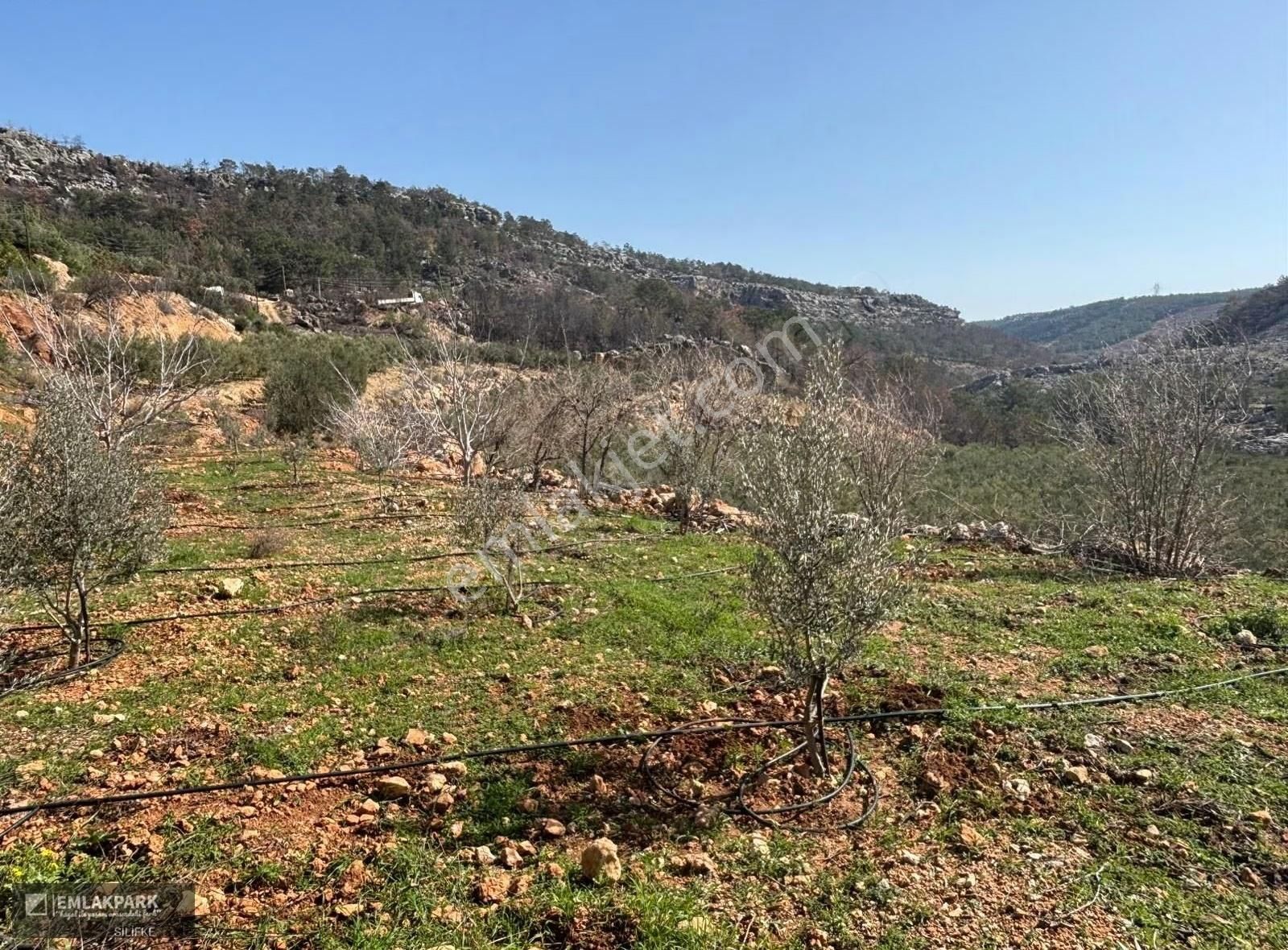 Silifke Kocapınarda Doğa İçinde Müstakil Ev & 3.000 M² Arsa - Görsel 5