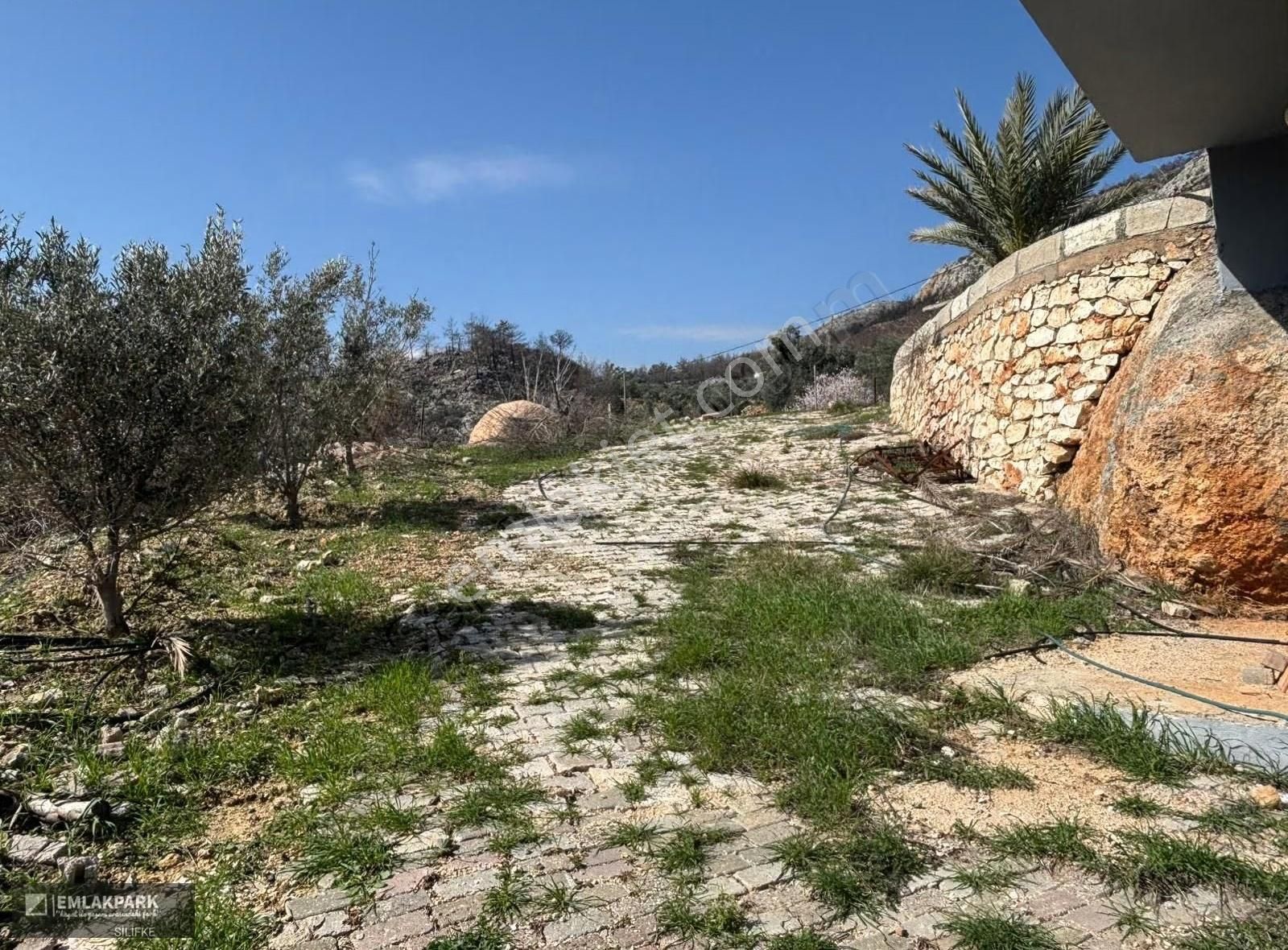 Silifke Kocapınarda Doğa İçinde Müstakil Ev & 3.000 M² Arsa - Görsel 20