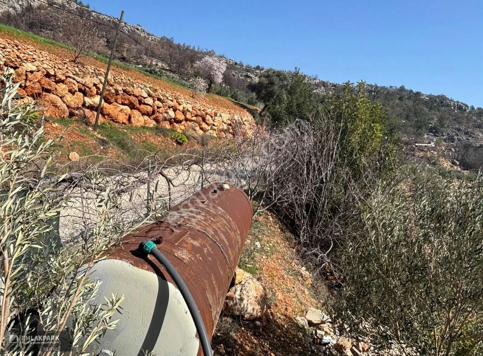 Silifke Kocapınarda Doğa İçinde Müstakil Ev & 3.000 M² Arsa - Görsel 14