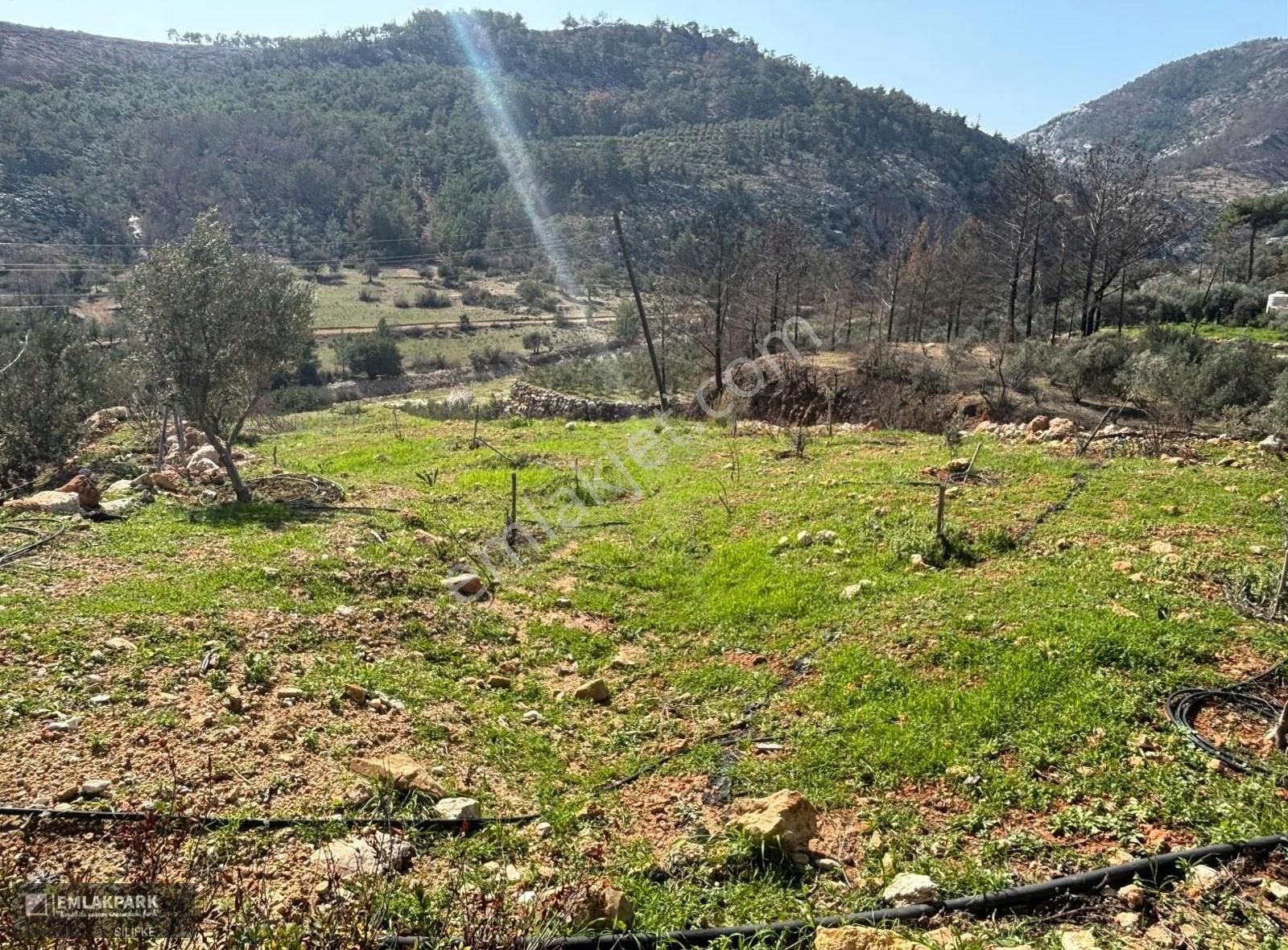 Silifke Kocapınarda Doğa İçinde Müstakil Ev & 3.000 M² Arsa - Görsel 2