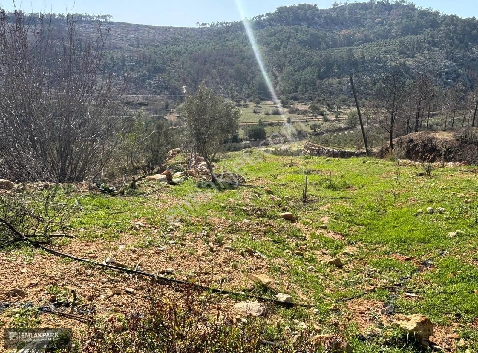 Silifke Kocapınarda Doğa İçinde Müstakil Ev & 3.000 M² Arsa - Görsel 26