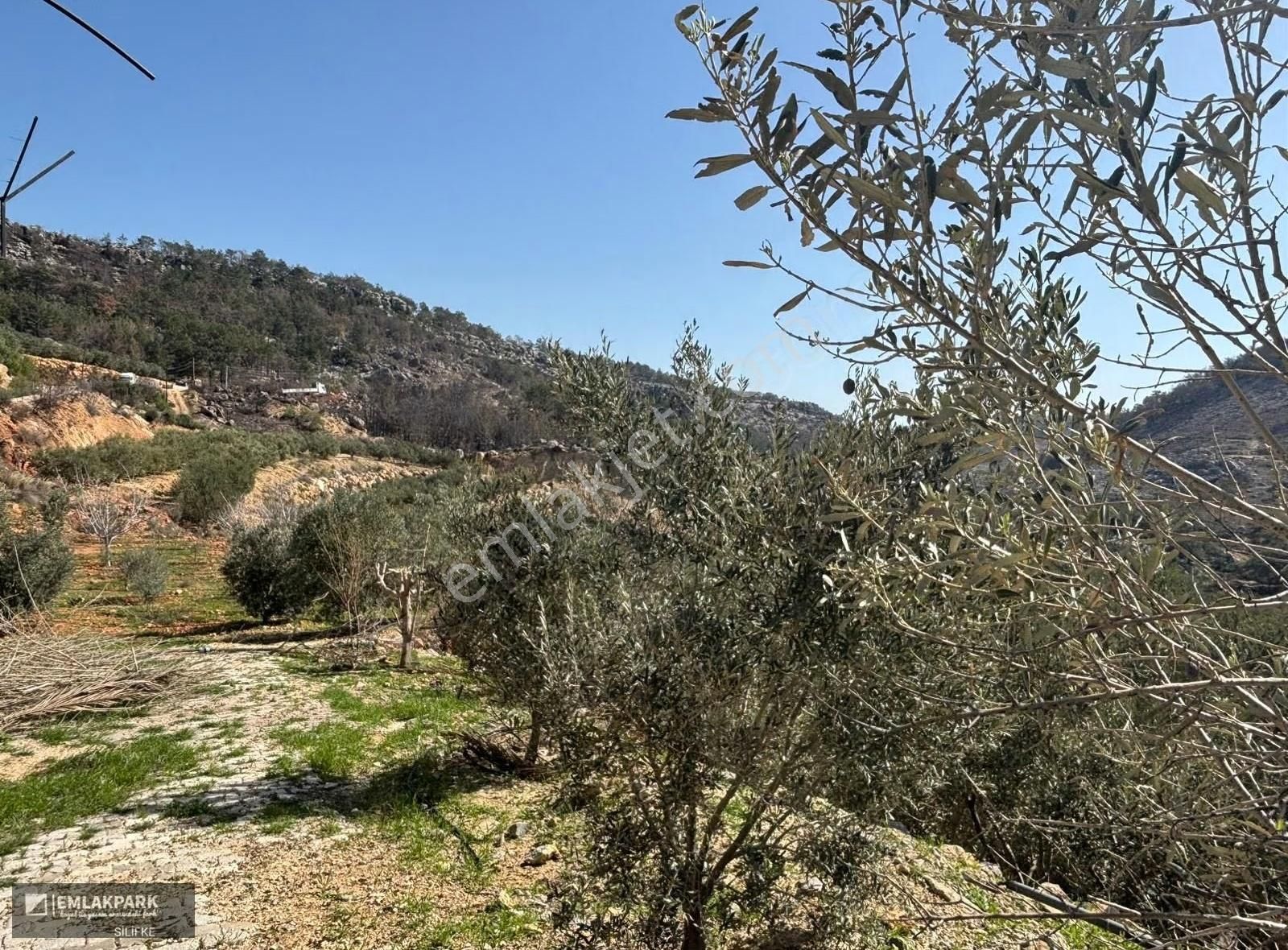 Silifke Kocapınarda Doğa İçinde Müstakil Ev & 3.000 M² Arsa - Görsel 19