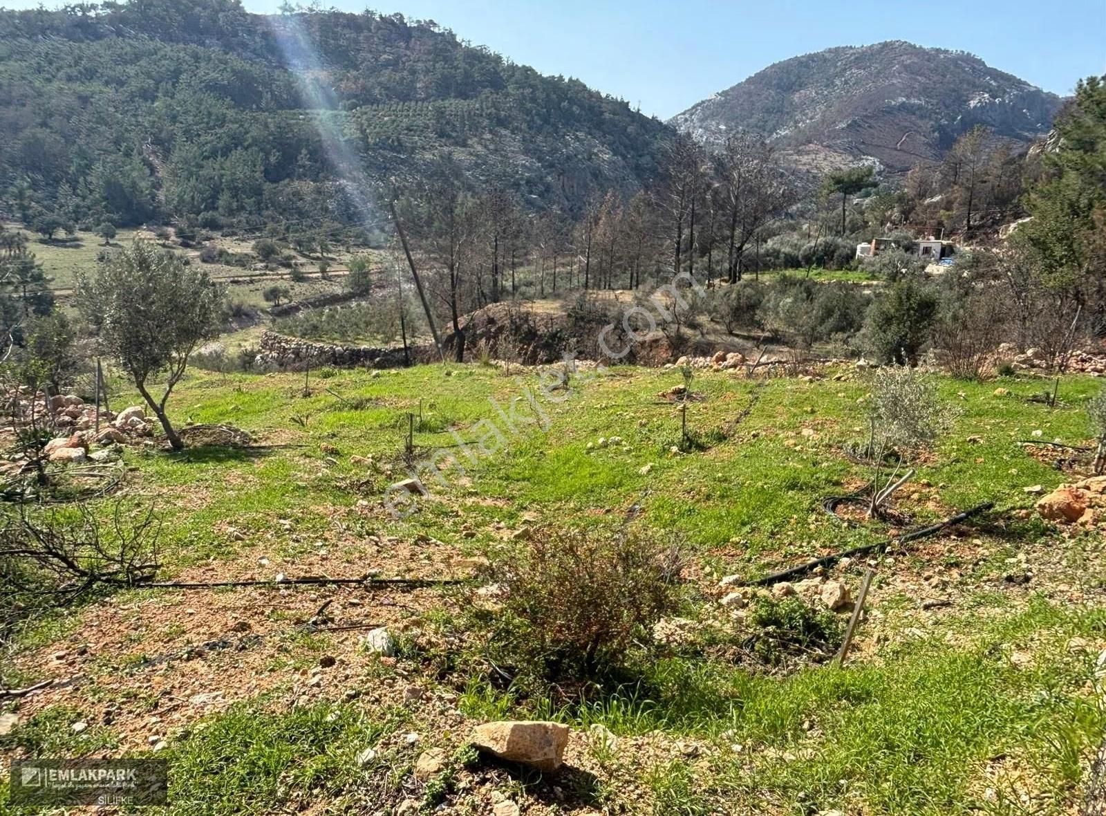 Silifke Kocapınarda Doğa İçinde Müstakil Ev & 3.000 M² Arsa - Görsel 4