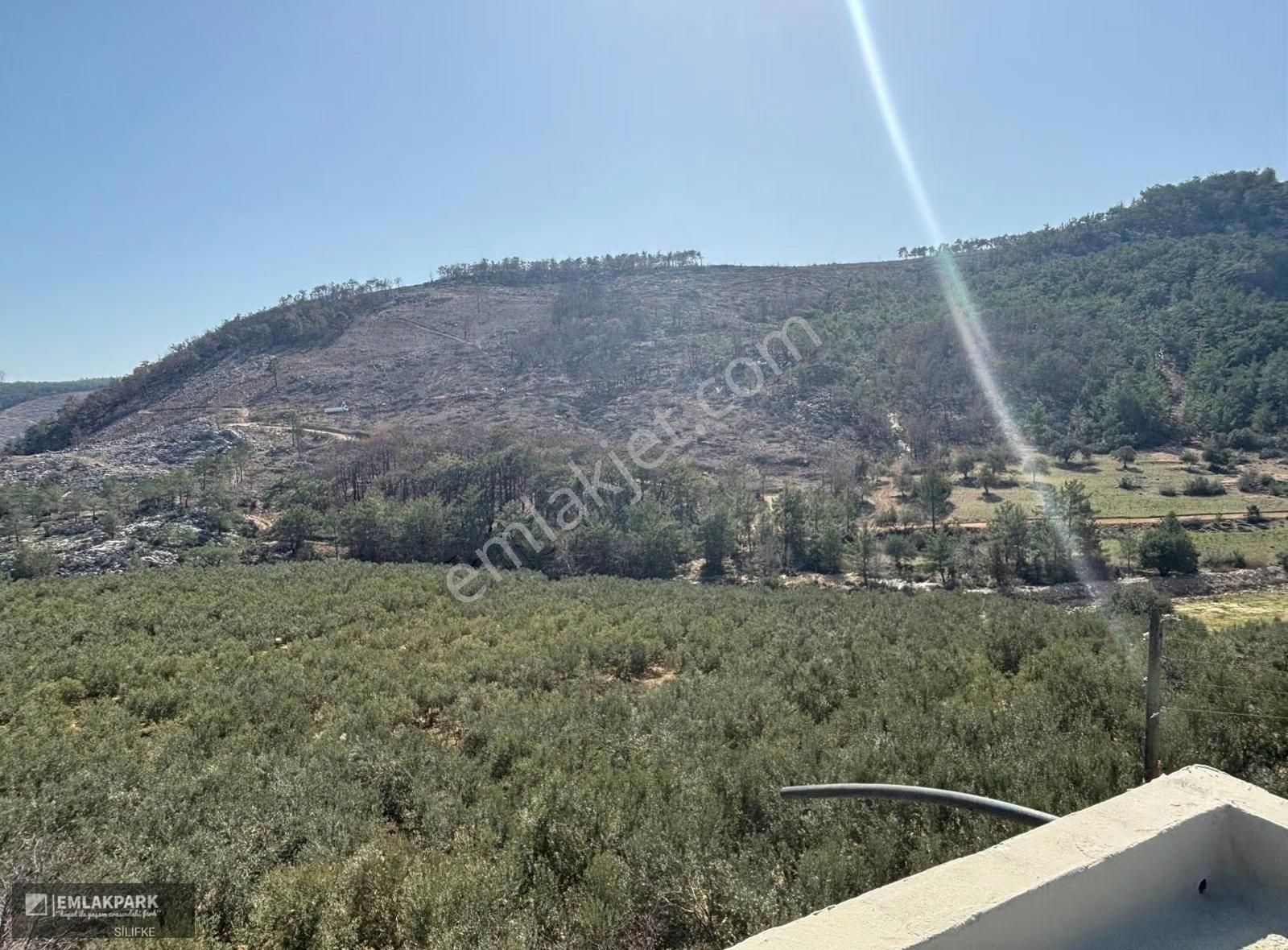 Silifke Kocapınarda Doğa İçinde Müstakil Ev & 3.000 M² Arsa - Görsel 13