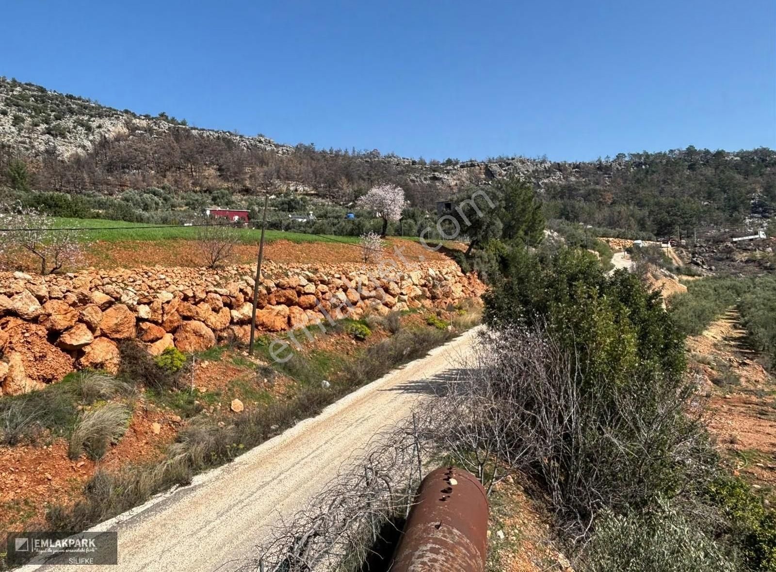 Silifke Kocapınarda Doğa İçinde Müstakil Ev & 3.000 M² Arsa - Görsel 9