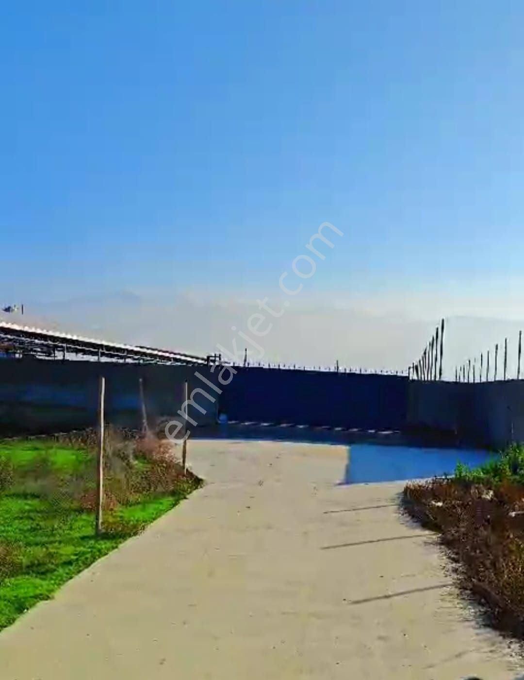 İzmir Ödemiş Konaklı Mah. Satılık Çiftlik - Görsel 13